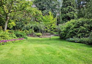 Optimiser l'expérience du jardin à Villeneuve-d'Amont