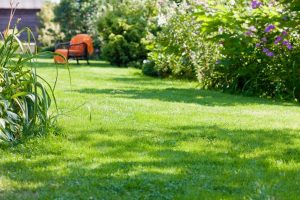 travaux jardin et paysage Villeneuve-d'Amont